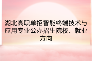 湖北高職單招智能終端技術(shù)與應(yīng)用專業(yè)公辦招生院校、就業(yè)方向