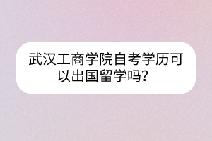 武漢工商學(xué)院自考學(xué)歷可以出國留學(xué)嗎？
