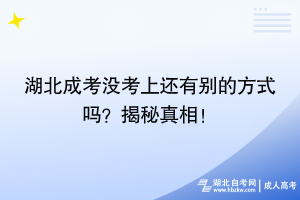 湖北成考沒(méi)考上還有別的方式嗎？揭秘真相！