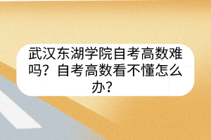 武漢東湖學(xué)院自考高數(shù)難嗎？自考高數(shù)看不懂怎么辦？