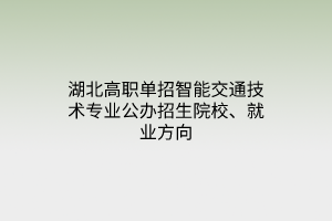 湖北高職單招智能交通技術(shù)專業(yè)公辦招生院校、就業(yè)方向