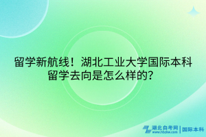 留學(xué)新航線！湖北工業(yè)大學(xué)國(guó)際本科留學(xué)去向是怎么樣的？