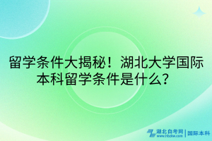 留學(xué)條件大揭秘！湖北大學(xué)國際本科留學(xué)條件是什么？