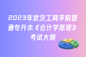 2023年武漢工商學(xué)院普通專升本《會計學(xué)原理》考試大綱