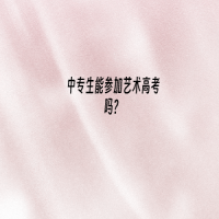 中專生能參加藝術(shù)高考嗎？