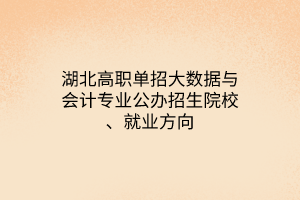 湖北高職單招大數(shù)據(jù)與會計專業(yè)公辦招生院校、就業(yè)方向