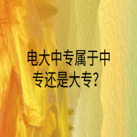 電大中專屬于中專還是大專？