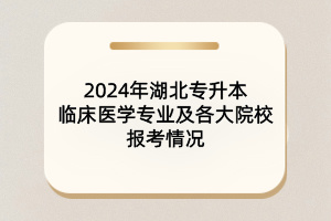 2024年湖北專升本臨床醫(yī)學專業(yè)及各大院校報考情況