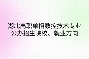 湖北高職單招數(shù)控技術(shù)專業(yè)公辦招生院校、就業(yè)方向