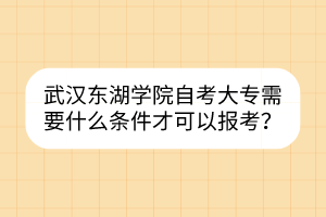 武漢東湖學(xué)院自考大專(zhuān)需要什么條件才可以報(bào)考？