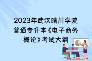 2023年武漢晴川學院普通專升本《電子商務概論》考試大綱