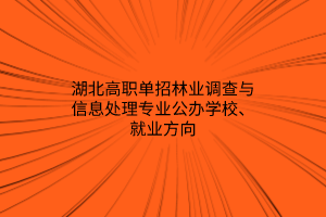 湖北高職單招林業(yè)調(diào)查與信息處理專業(yè)公辦學(xué)校、就業(yè)方向