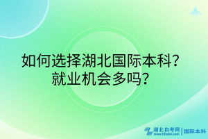 如何選擇湖北國(guó)際本科？就業(yè)機(jī)會(huì)多嗎？