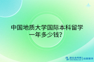 中國地質(zhì)大學(xué)國際本科留學(xué)一年多少錢？