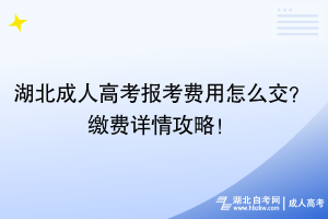 湖北成人高考報考費用怎么交？繳費詳情攻略！