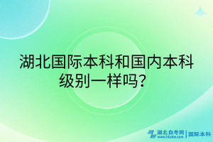 湖北國(guó)際本科和國(guó)內(nèi)本科級(jí)別一樣嗎？