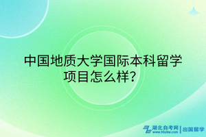 中國地質(zhì)大學(xué)國際本科留學(xué)項目怎么樣？