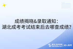 成績揭曉&錄取通知：湖北成考考試結(jié)束后去哪查成績？
