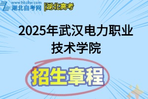 2025年武漢電力職業(yè)技術(shù)學(xué)院招生章程