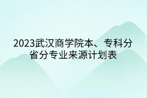 2023武漢商學(xué)院本、專科分省分專業(yè)來源計劃表