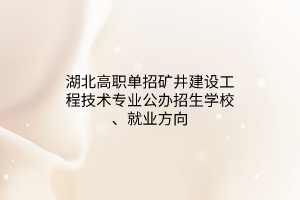 湖北高職單招礦井建設(shè)工程技術(shù)專業(yè)公辦招生學(xué)校、就業(yè)方向