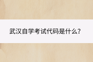 武漢自學(xué)考試代碼是什么？