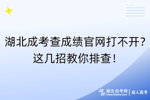 湖北成考查成績(jī)官網(wǎng)打不開？這幾招教你排查！