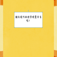 湖北現(xiàn)代科技學(xué)校是中專嗎？