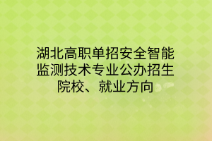 湖北高職單招安全智能監(jiān)測技術(shù)專業(yè)公辦招生院校、就業(yè)方向