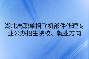 湖北高職單招飛機(jī)部件修理專業(yè)公辦招生院校、就業(yè)方向