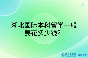 湖北國(guó)際本科一般要花多少錢？