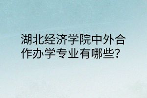 湖北經(jīng)濟(jì)學(xué)院中外合作辦學(xué)專業(yè)有哪些？