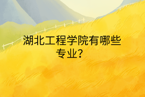 湖北工程學(xué)院有哪些專業(yè)？
