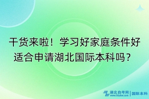 干貨來啦！學習好家庭條件好適合申請湖北國際本科嗎？