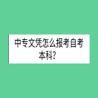 中專文憑怎么報(bào)考自考本科？