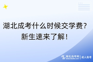 湖北成考什么時候交學費？新生速來了解！