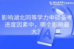影響湖北同等學(xué)力申碩備考進度因素中，哪個影響最大？