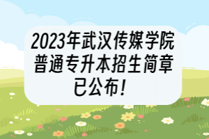 2023年武漢傳媒學(xué)院普通專升本招生簡(jiǎn)章已公布！