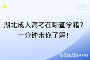 湖北成人高考在哪查學(xué)籍？一分鐘帶你了解！