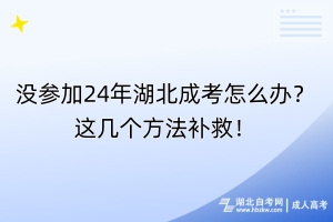 沒參加24年湖北成考怎么辦？這幾個方法補救！