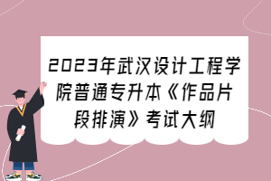 2023年武漢設(shè)計工程學(xué)院普通專升本《作品片段排演》考試大綱