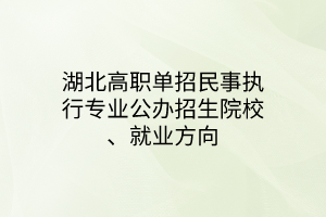 湖北高職單招民事執(zhí)行專業(yè)公辦招生院校、就業(yè)方向