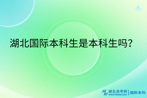湖北國際本科生是本科生嗎？