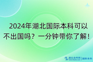 2024年湖北國(guó)際本科可以不出國(guó)嗎？一分鐘帶你了解！