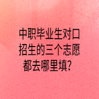 中職畢業(yè)生對口招生的三個志愿都去哪里填？
