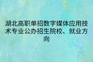 湖北高職單招數(shù)字媒體應(yīng)用技術(shù)專(zhuān)業(yè)公辦招生院校、就業(yè)方向