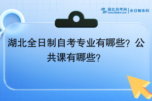湖北全日制自考專業(yè)有哪些？公共課有哪些？