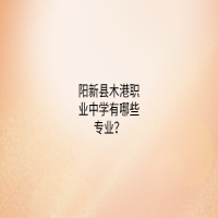 陽新縣木港職業(yè)中學(xué)有哪些專業(yè)？