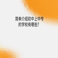 簡(jiǎn)單介紹初中上中專的學(xué)校？
