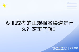湖北成考的正規(guī)報(bào)名渠道是什么？速來(lái)了解！